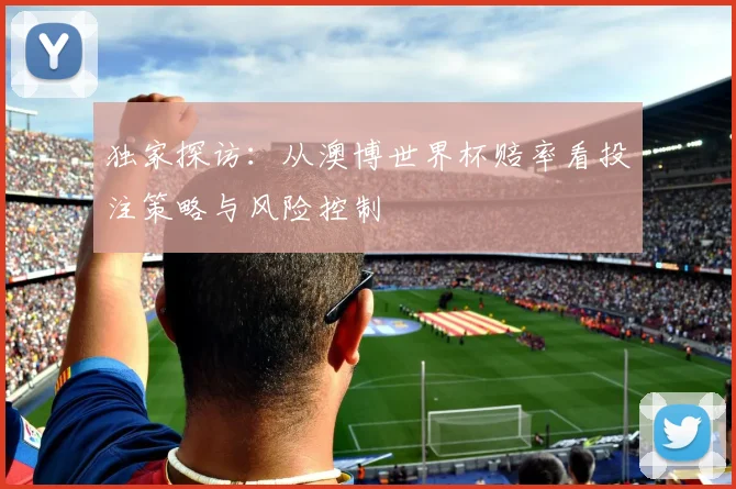 独家探访:从澳博世界杯赔率看投注策略与风险控制