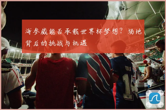 海参崴能否承载世界杯梦想？场地背后的挑战与机遇