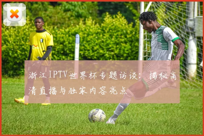 浙江IPTV世界杯专题访谈：揭秘高清直播与独家内容亮点