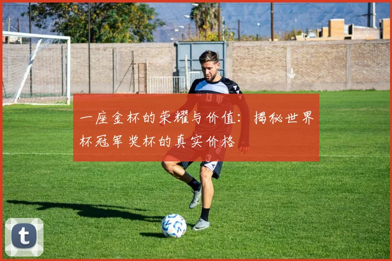 一座金杯的荣耀与价值：揭秘世界杯冠军奖杯的真实价格