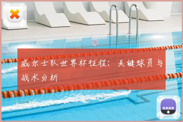 威尔士队世界杯征程：关键球员与战术分析