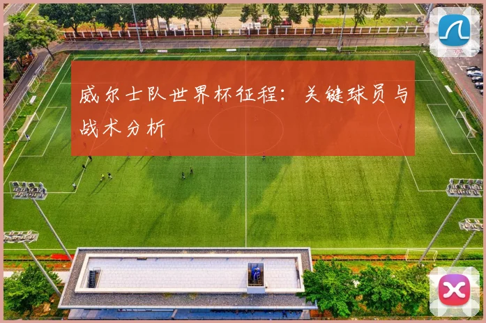 威尔士队世界杯征程：关键球员与战术分析