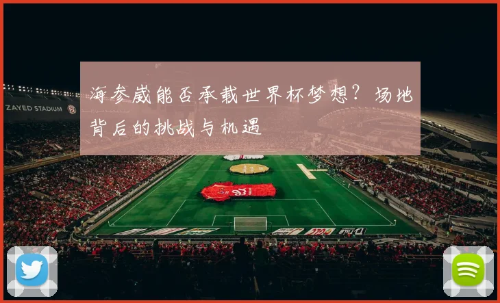 海参崴能否承载世界杯梦想？场地背后的挑战与机遇