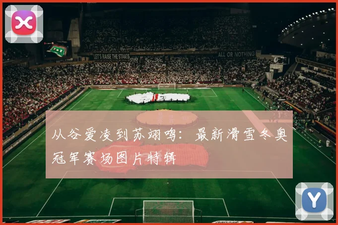 从谷爱凌到苏翊鸣:最新滑雪冬奥冠军赛场图片特辑