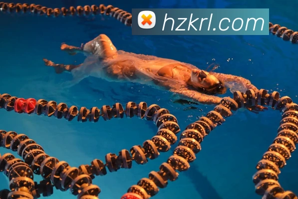 大阳城43335.cm登录地址品牌故事