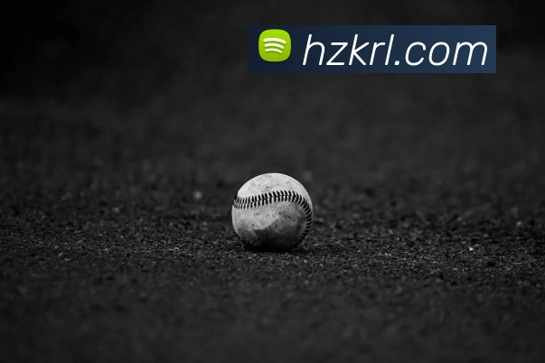 大阳城43335.cm登录地址服务体系